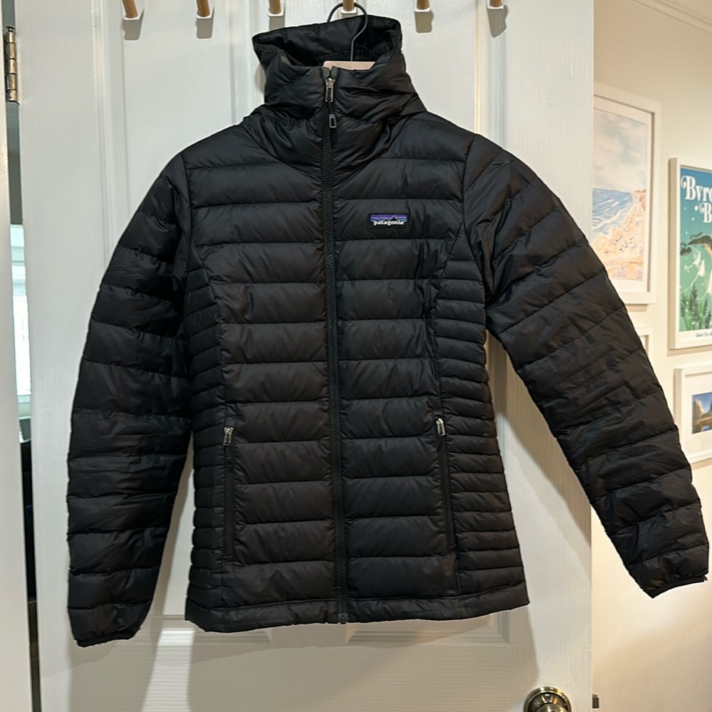 Patagonia Down Sweater Hoodie